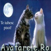 Te iubes pisoi!