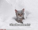 FWNAPPZECKPQEELPJRS[1]