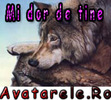 Mi dor de tine