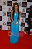 thumb_Parul Chauhan at ITA Awards in Bhavans Ground on 2nd Dec 2010 (2)
