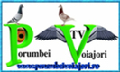 bannerpv1