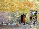 kabhi_alvida_naa_kehna_11