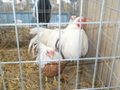 DSCN2425