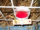 DSCN2437