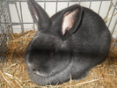 DSCN2464