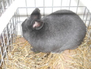 DSCN2468