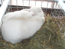 DSCN2476
