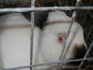 DSCN2480