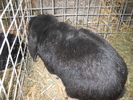 DSCN2485