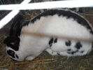 DSCN2489