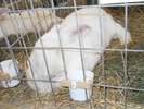 DSCN2496