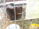 DSCN2530