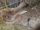 DSCN2545