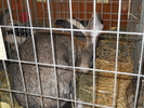 DSCN2553
