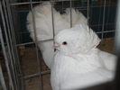 DSCN2587