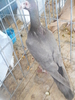 DSCN2597