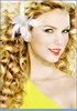 Taylor (4)