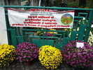 La targul din curtea Institutului de agronomie Bucuresti