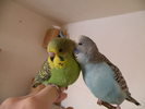 Picture 006