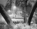 05_Gradina Cismigiu