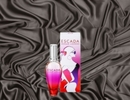escada_ocean_lounge__20541_thumb
