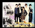 boysoverflowers
