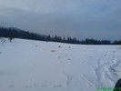 DSC01954