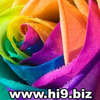 poze trandafir colorat avatar