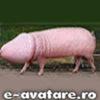 avatare_gratuite_63930f2cb101bdfe65544d4a4efb4fed