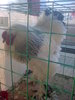 Image0374