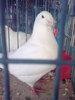 Image0380