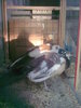 Image0387