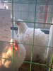Image0393