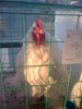 Image0394