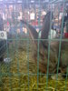 Image0399