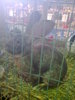 Image0401