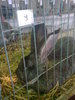 Image0404