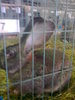 Image0405