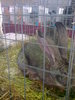Image0407
