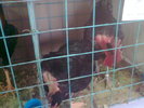 Image0427