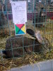 Image0452