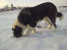 Picture 042