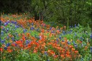 FIORI070