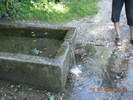 DSCN1842