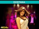 dostana-02