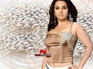 VidyaBalan_2_1024x768