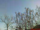 DSC07639