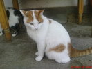 DSC07650