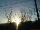 DSC07659