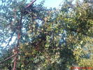 DSC07660